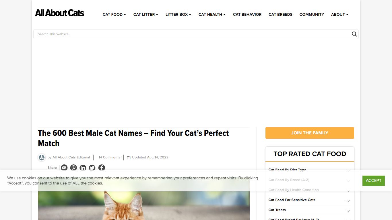 The 600 Best Male Cat Names – Find Your Cat’s Perfect Match